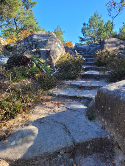 Escalier anti &eacute;rosion de la plati&egrave;re de Franchard