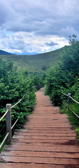 Escalier du Puy de Pariou