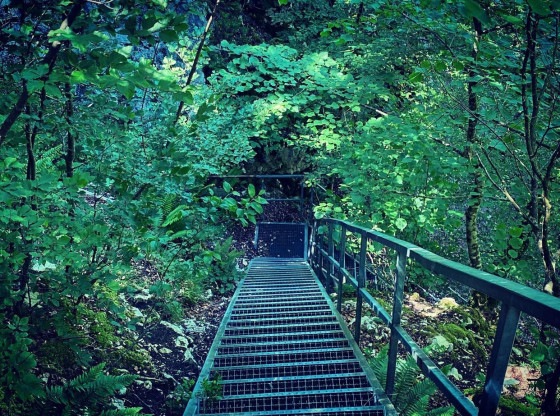 Escalier métallique