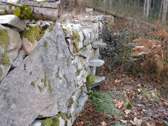 Escalier Sarrasin