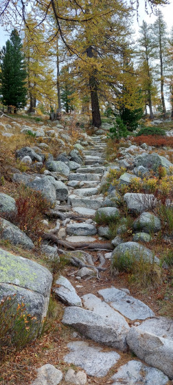Escalier