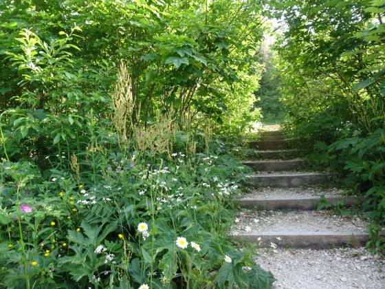 Escalier