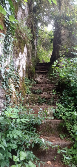 Escaliers de pierre