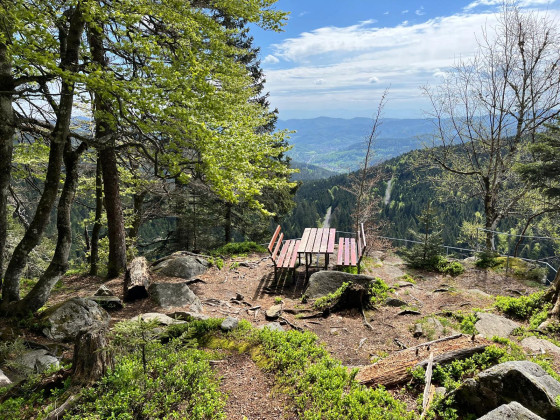 Table Piquenique Belvédère Hirschsteine.