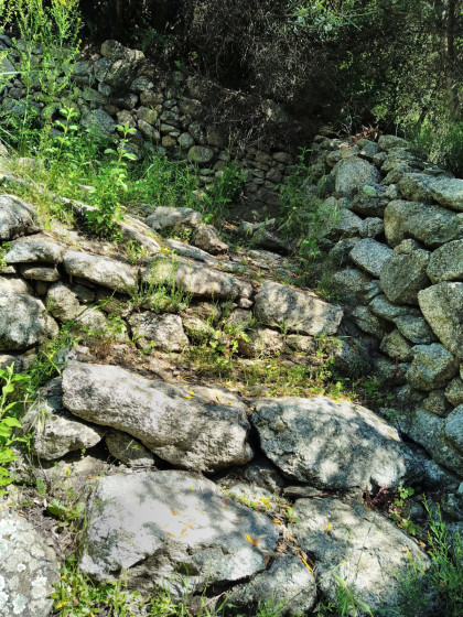 Escaliers taillés dans la pierre