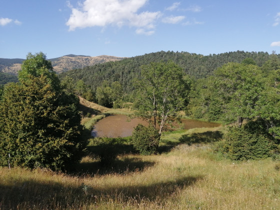 Estany Can Roca