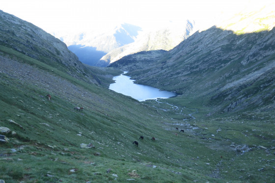 Estany de Port
