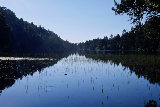 Estany Llarg (long)