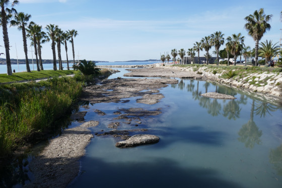 L'estuaire de la Reppe