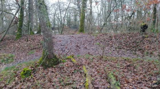 Etang de Lutché