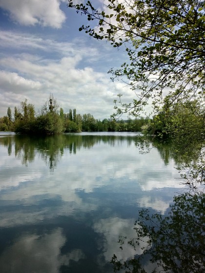 Étang à Fontaine-Heudebourg