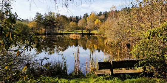 Etang &agrave; La Beuille