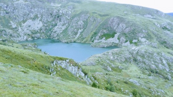 Etang Artaxx