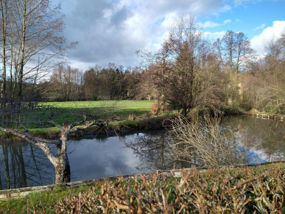 Etang au creux de l'Ours