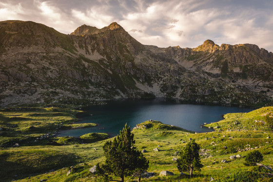 Etang au levé du soleil