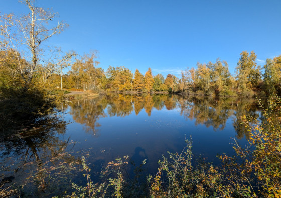 Etang au lieu-dit "Le Frahier"