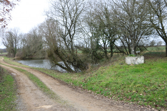 Etang au Sud-Est du lieu-dit Le Marchais