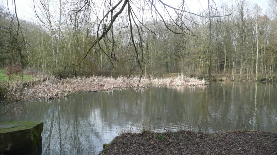 Etang Beauclair