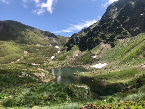 Étang bleu