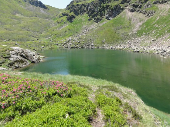 étang bleu