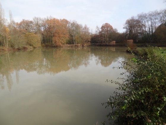 Etang communal d\'Ardon