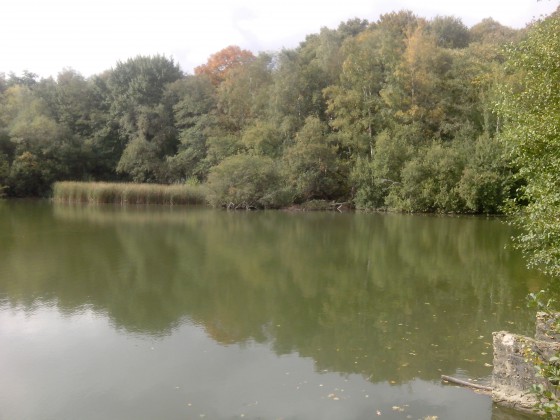 Etang d'Abbecourt