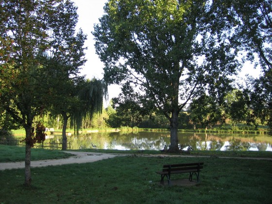 Etang d'Angelier