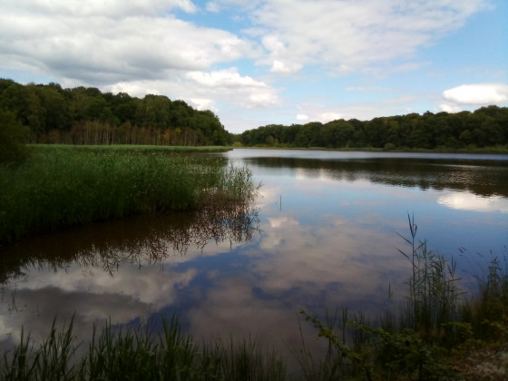 Etang d'Anglure