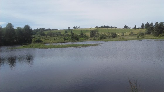 etang d'auzoux