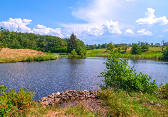 Etang d'Esmoulières