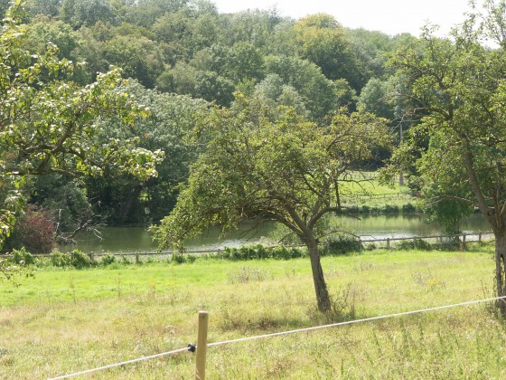 Etang d'Hérivaux