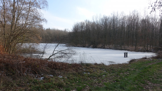 Etang dans le Bois Banal