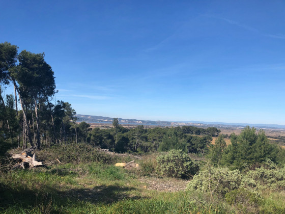 Etang de Bages