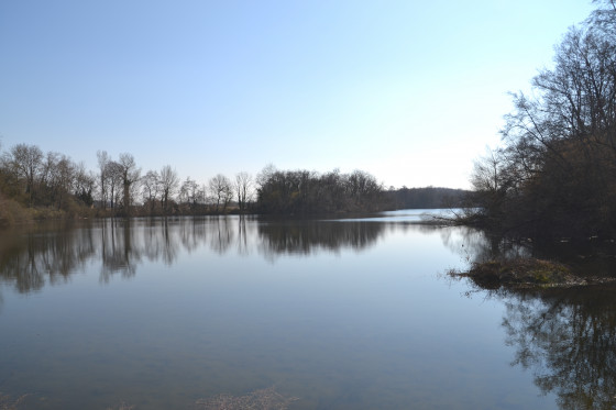 Etang de Barral