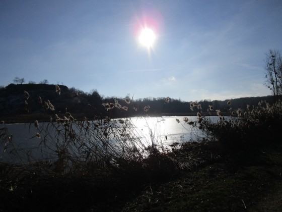 Etang de Bas