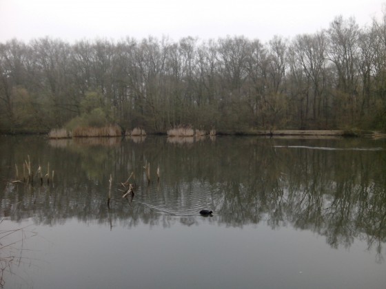 Etang de Bechevet