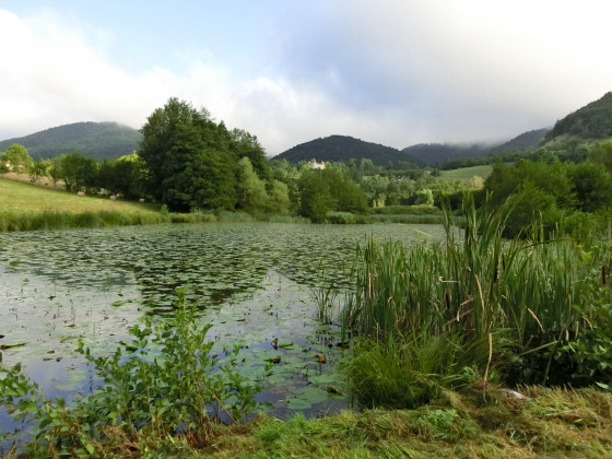 étang de Bergureuil
