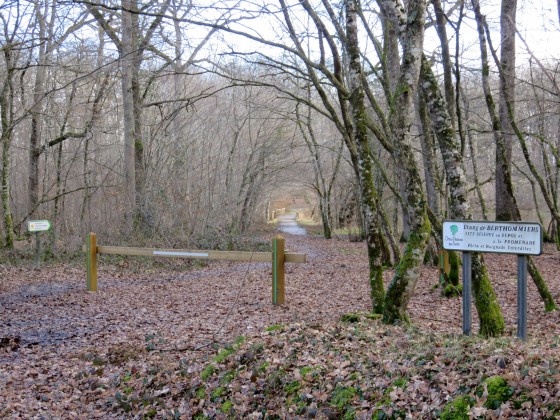 Etang de Berthommiers