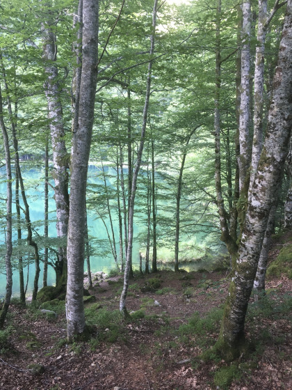 Etang de Bethmale