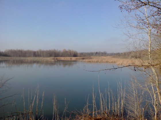 Etang de Bois Maury