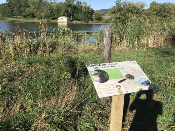 Etang de Bournazel