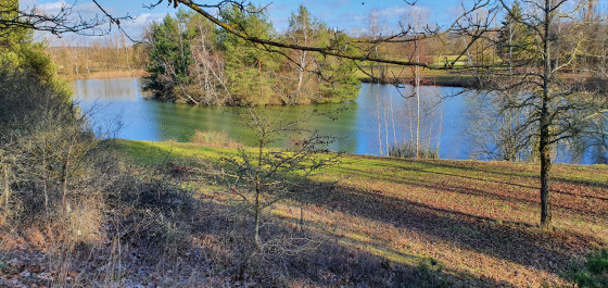 Etang de Bouville