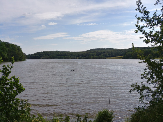 Etang de Brandon