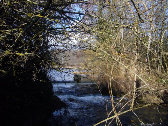 Etang de Charamel