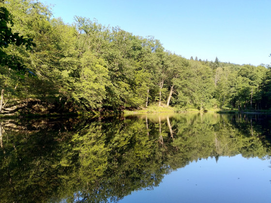 Etang de Chawion