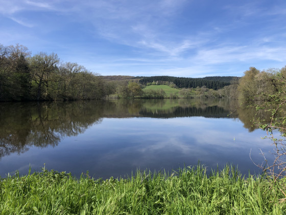 Etang de Cogni&egrave;res