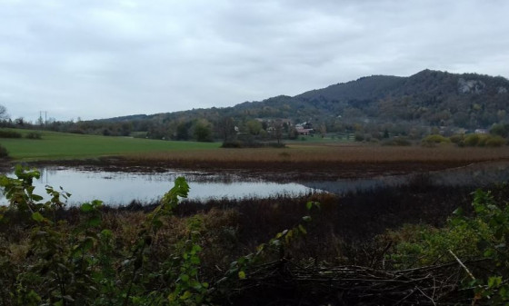Etang de Crenans