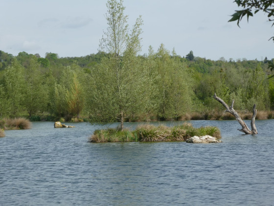 Etang de Flicourt