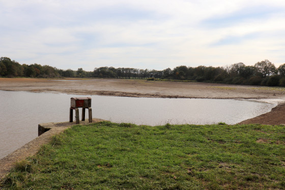 Etang de Fontpart