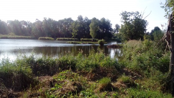 &Eacute;tang de Gravelles